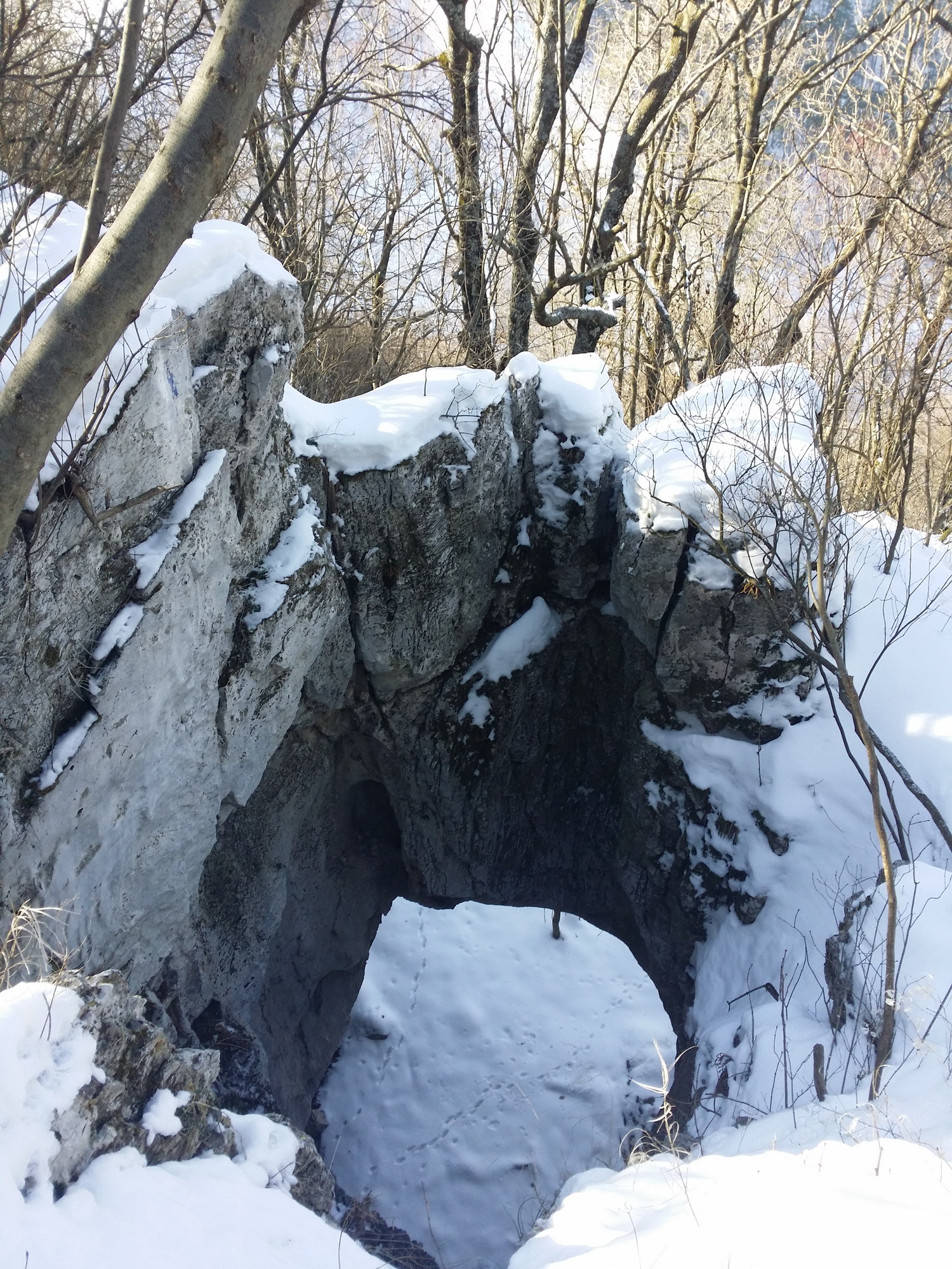 Pestera-Soroniste-Intrarea-aven-pod-natural-foto-Lidia-Dragomir